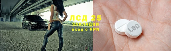 прущие грибы Алзамай
