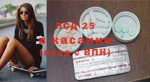 прущие грибы Алзамай