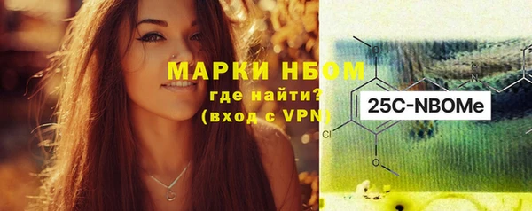 прущие грибы Алзамай