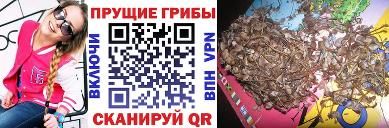 Псилоцибиновые грибы ЛСД Омутнинск